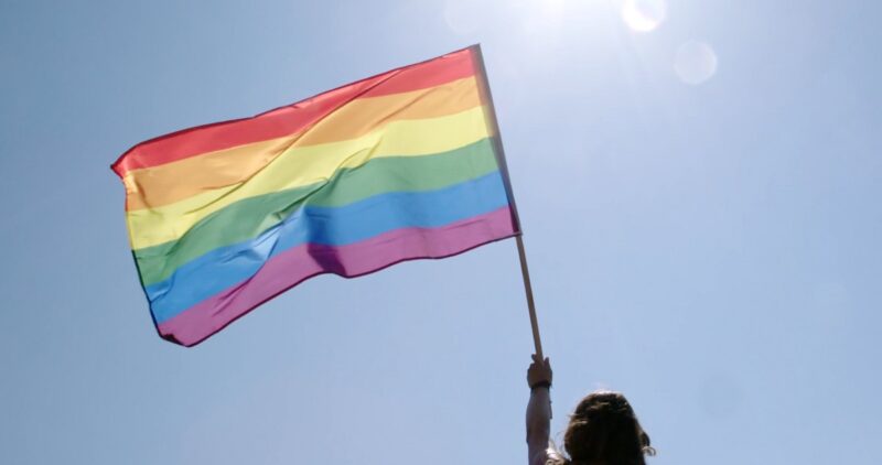 The girl holds the LGBTQ+ flag at the Pride Parade