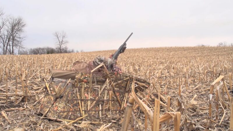 A Hunter Using a Camouflaged Blind for Goose Hunting 