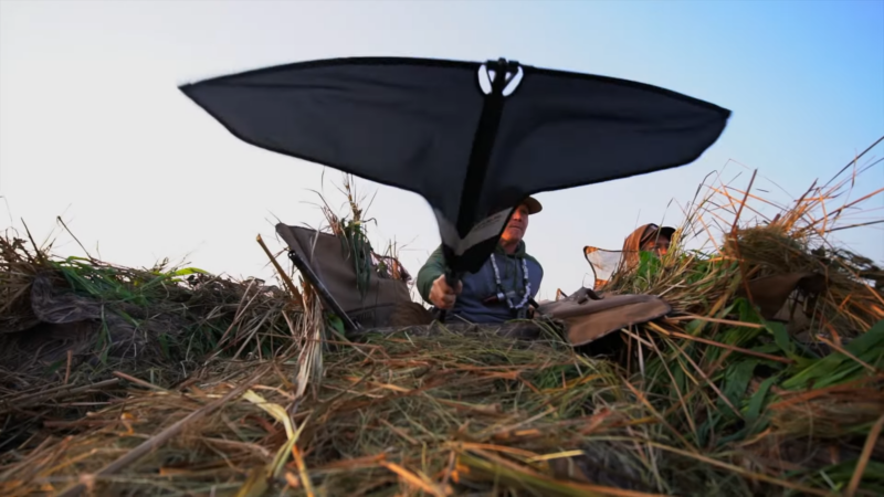 A Hunter Uses a Flag to Attract Gees