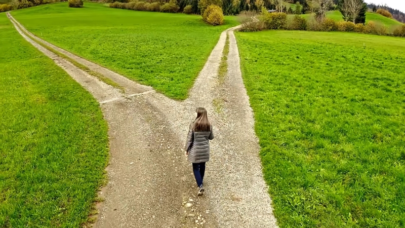 A Person Walking Down a Path that Splits Into Two Directions